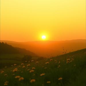 Manifesting Good Vibes (Remastered) by @live4offrd