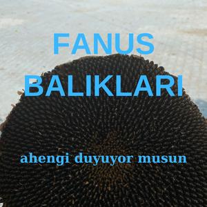 Umursamadan Gitti