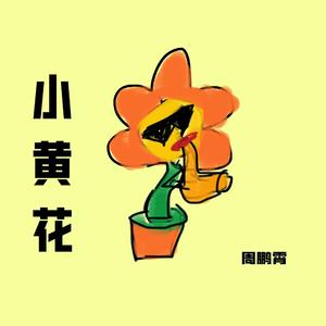 小黄花