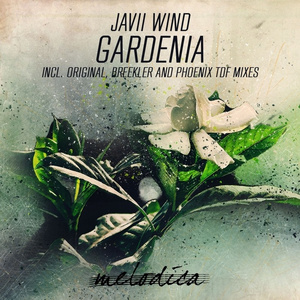 Gardenia (Original Mix)