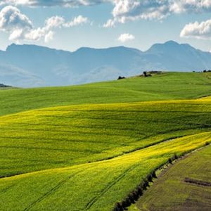 向云端漫步（舒缓治愈钢琴曲）