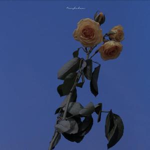 2019无敌大串烧（翻自 Fogisle）