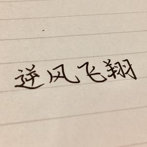 逆风飞翔