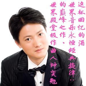 这杯回忆的酒（世界殿堂级作曲人钟奕勉的心力之作，世界最经典的旋律纯音乐）