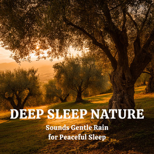 睡眠用BGM 森の調べとギターのやすらぎ