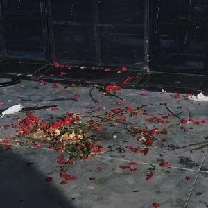 梅卡德尔-一半迷恋一起跳海（南城山南北 remix）