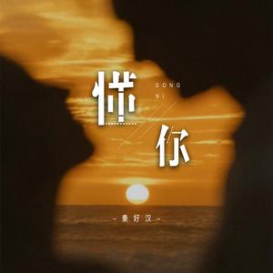 懂你（一年一年风霜遮盖了笑颜）