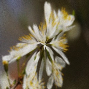 Undextrous