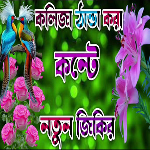 কলিজা ঠান্ডা করা কন্টে জিকির