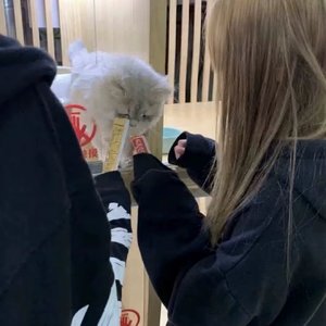 别哭