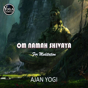 Om Namah Shivaya