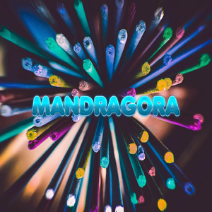Mandragora