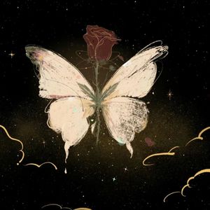 遇见你的时候所有星星都落到我头上（Cover）