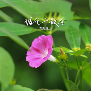 出门的难民（存玲版）