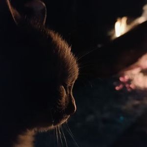 "宝贝" sasi×bobby×sadpiano type memphis beat