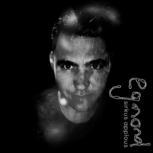 Reën Aan Die Brand Steek