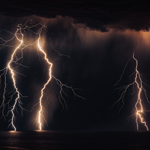 The Light Rain in the Forest