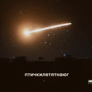Птичкилетятнаюг