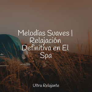 Descansando Junto Al Lago