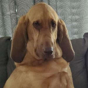 Very, Very Last Look