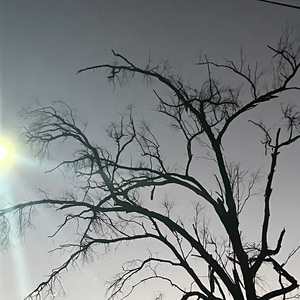 空白格