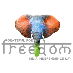 Grateful for Freedom