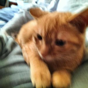 第一首自创吉他音乐_204525_track1_204526