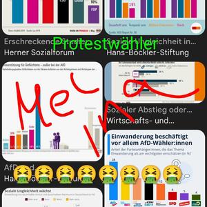 Protestwähler