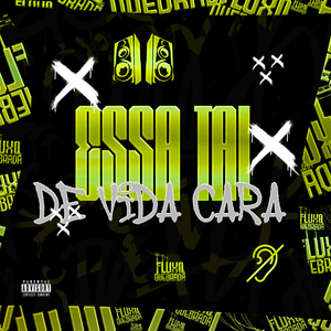 Essa tal de vida cara