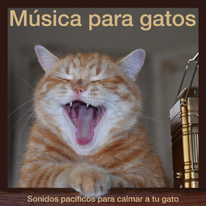 Desenrollando