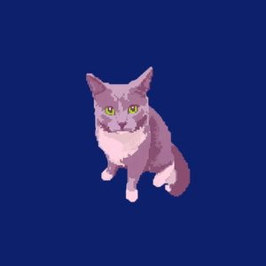 nerdcat