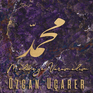 Medine'ye Varamadım