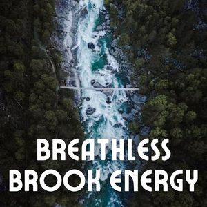 Shoreline Indentation