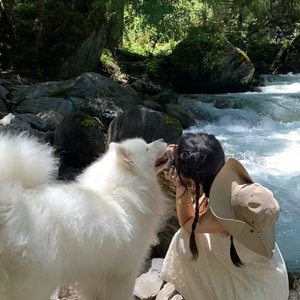 弹一弹弹