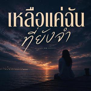 เหลือแค่ฉันที่ยังจำ