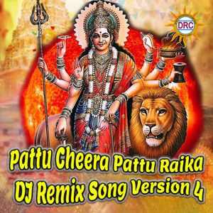 Pattu Cheera Pattu Raika (DJ Remix Song Version 4)
