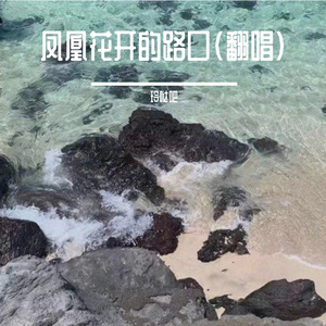 凤凰花开的路口（cover）