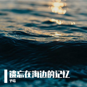 遗忘在海边的记忆