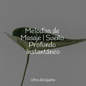 Hermoso Descanso Nocturno