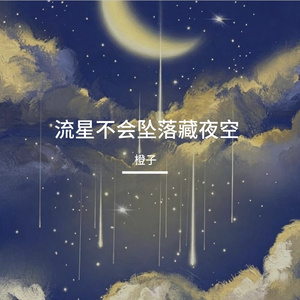 流星不会坠落藏夜空