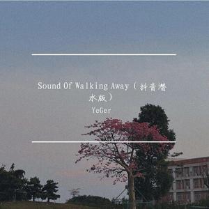 ILLENIUM-Sound Of Walking Away（Bootleg）