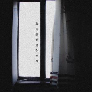 真的很爱这个世界