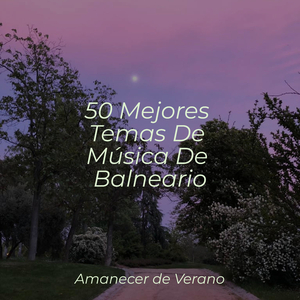 Sueños Melancólicos se Despliegan