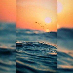 L'isola che non c'è