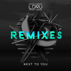Next To You (Barely Alive & Virtual Riot Remix)