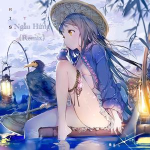 Ngẫu Hứng洪荒之力(Remix)