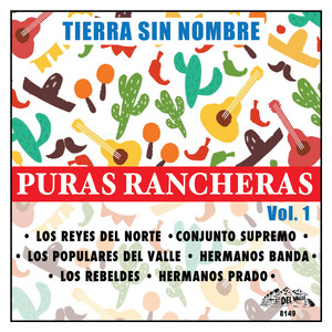 Cariño Mio (Puras Rancheras)