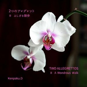 ２つのアレグレット Ⅱ ふしぎな散歩