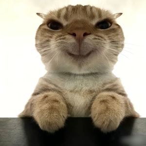 欢乐斗地主 (BGM旋律)