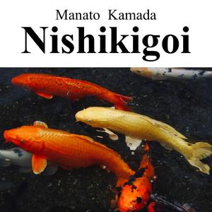 江戸の二品 Ⅰ. 花魁道中/Two in Edo Ⅰ. Oiran Dochu